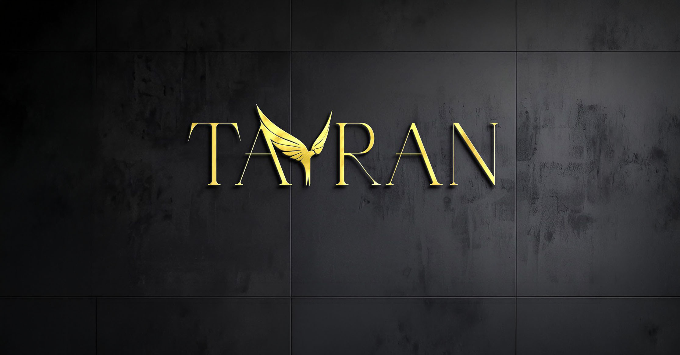 Tayran Logo Çalışması